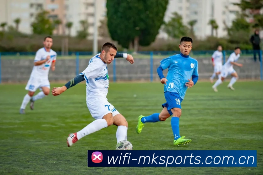 功能亮点 - MK体育官网入口